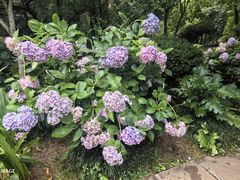 -昆明市金殿名胜区