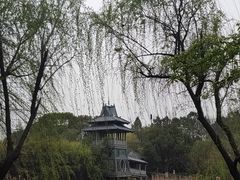 -金鸡湖桃花岛