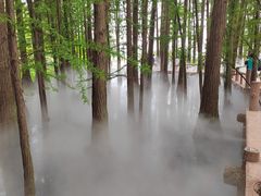 -东湖落雁景区