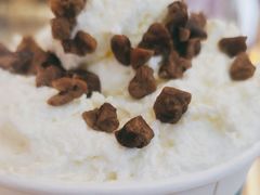 -椰不二(江北大洋百货店)