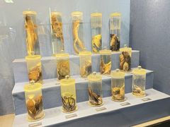 -国家自然博物馆