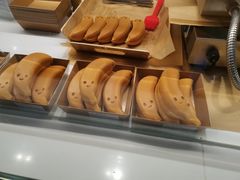 -岭南站NOVA