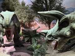 -国家自然博物馆