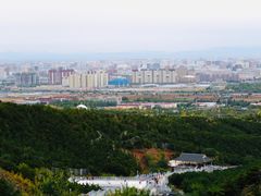 -大青山野生动物园
