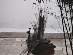 -乌村