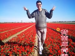 -库肯霍夫公园