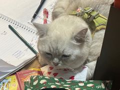 -嗨刻桌游(天一豪景店)