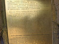 -嘉荫恐龙国家地质公园