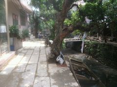 -小洲村