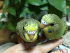 -杭州四季青面料市场有限公司