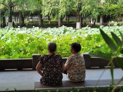 -四川大学(华西校区)