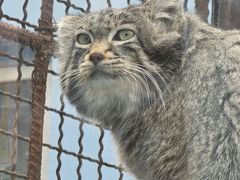 -青藏高原野生动物园