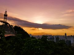 -金鸡山公园