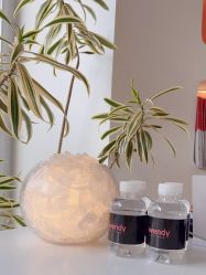 -WENDY·温迪皮肤管理