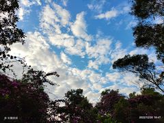 -深圳国际园林花卉博览园