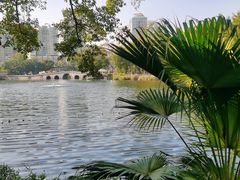 -荔湾湖公园