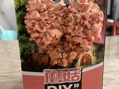 -香里香自助快餐(全安广场店)