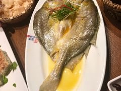 金汁蒸黄鱼-南拳十三姨·潮汕砂锅粥(世纪金源店)