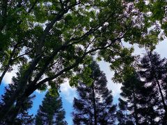 -十九路军淞沪抗日阵亡将士陵园