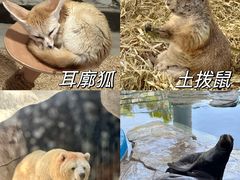 -海合安武汉极地海洋公园