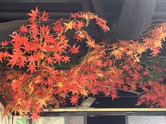 -长湘居(数码大厦店)