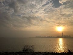 -宝安西湾红树林湿地公园