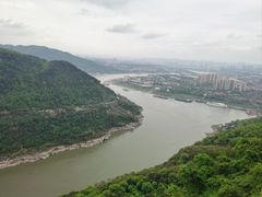 -铁山坪森林公园