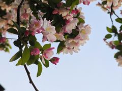 -将太无二·北美传奇寿司(荟聚购物中心西红门店)