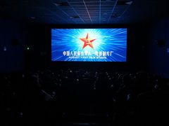 -大地影院(上海南汇店)