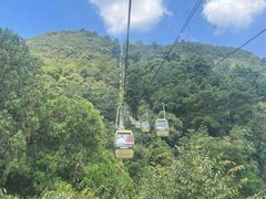 -黔灵山公园