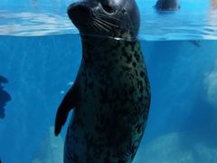 -多彩贵州城极地海洋世界