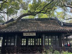 -上海醉白池公园