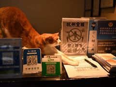 -简象咖啡CAFE ELE JANE(满陇桂雨店)