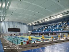 -奥林匹克体育中心游泳跳水中心