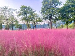 -牛岗山公园