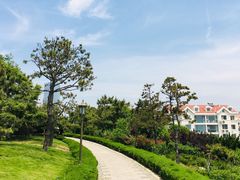 景点-燕儿岛山公园