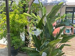 -素心小筑(后沙裕镇店)