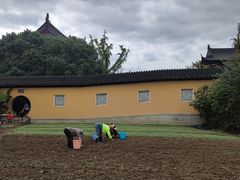 -重元寺香积厨素斋馆