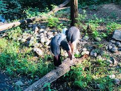 -济南野生动物世界