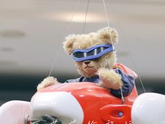 -济州岛泰迪熊博物馆