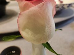 -虹御轩·传承江浙菜(虹桥店)