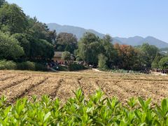 -韶山毛泽东同志故居
