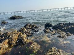 -星海广场