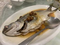 破布子午鱼-光头匠