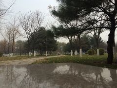 iphone_upload_pic-永定门公园