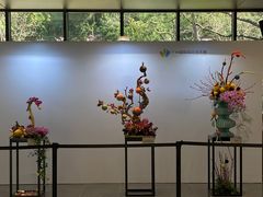 -云溪植物园