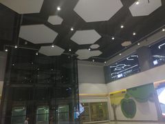 -中国宋庆龄青少年科技文化交流中心