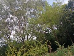 -东升文体公园