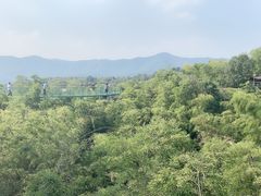 -陶祖圣境风景区