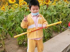-武汉园博园(武汉自然博物馆)